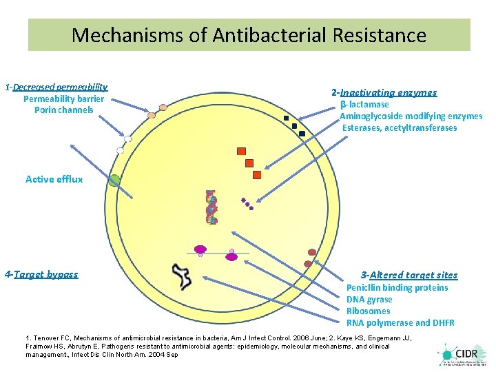 Mechanisms of Antibacterial Resistance 1 -Decreased permeability Permeability barrier Porin channels 2 -Inactivating enzymes