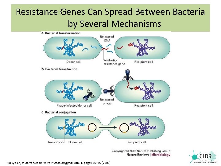 Resistance Genes Can Spread Between Bacteria by Several Mechanisms Furuya EY, et al Nature