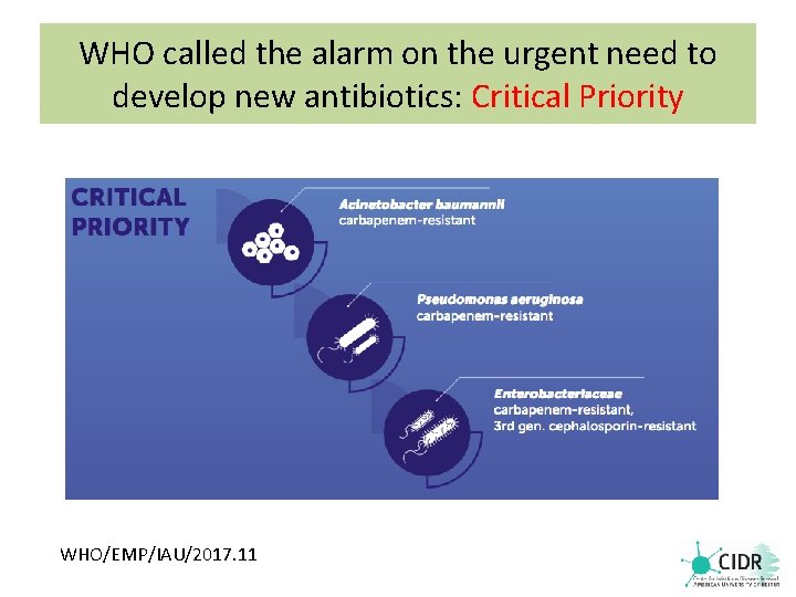 WHO called the alarm on the urgent need to develop new antibiotics: Critical Priority