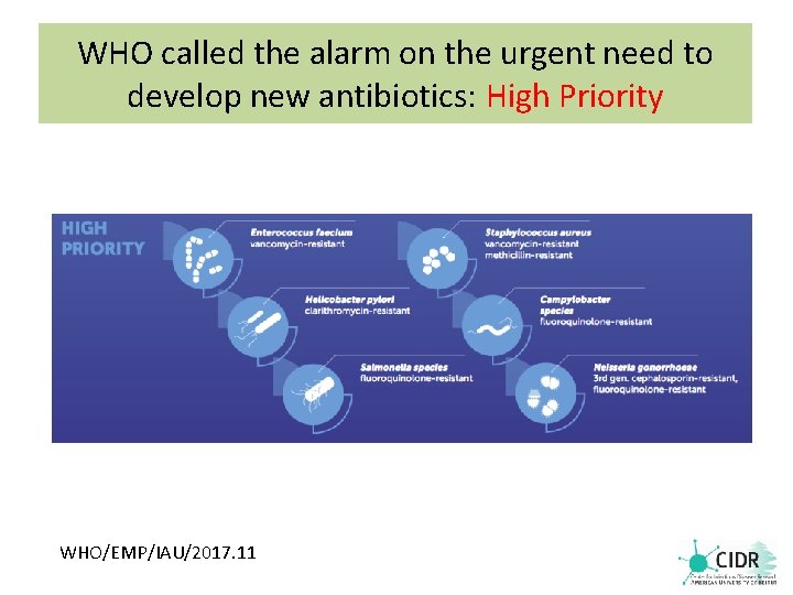 WHO called the alarm on the urgent need to develop new antibiotics: High Priority