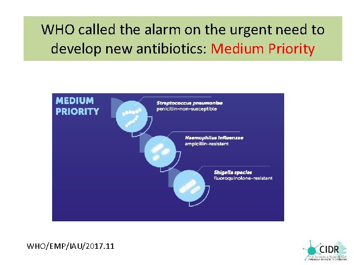 WHO called the alarm on the urgent need to develop new antibiotics: Medium Priority