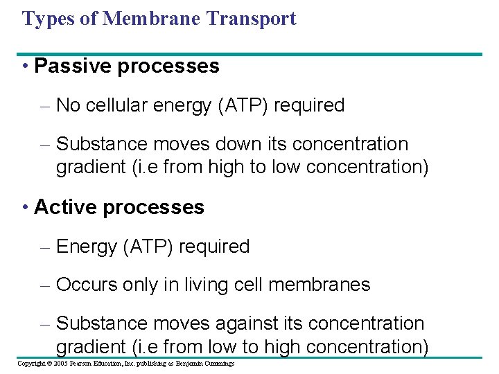 Types of Membrane Transport • Passive processes – No cellular energy (ATP) required –