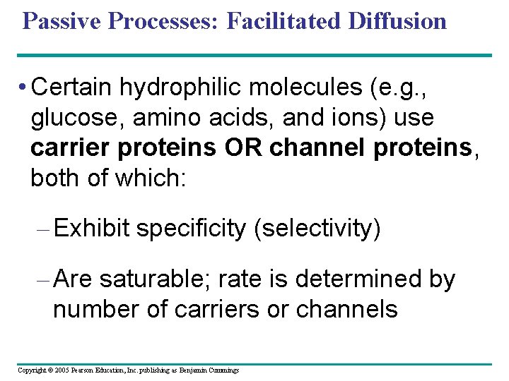 Passive Processes: Facilitated Diffusion • Certain hydrophilic molecules (e. g. , glucose, amino acids,
