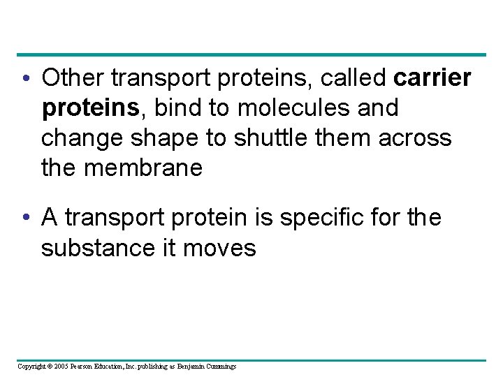  • Other transport proteins, called carrier proteins, bind to molecules and change shape