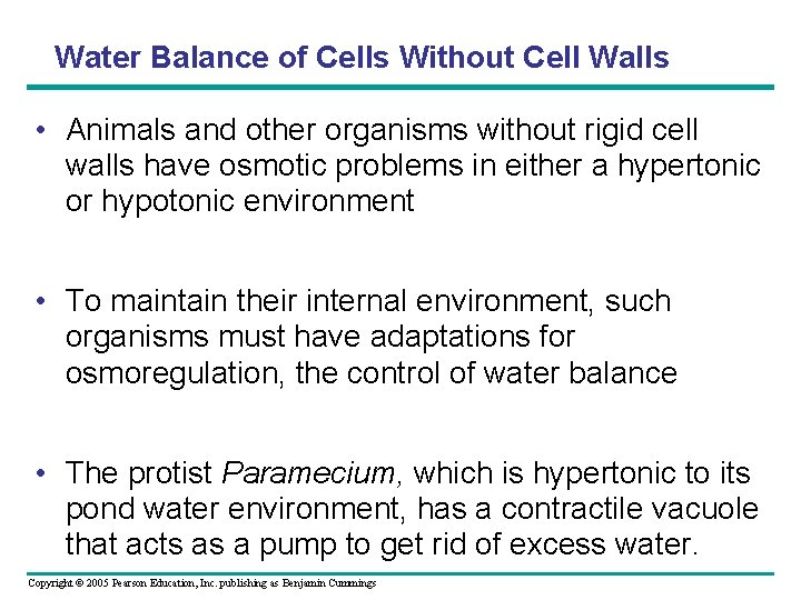 Water Balance of Cells Without Cell Walls • Animals and other organisms without rigid