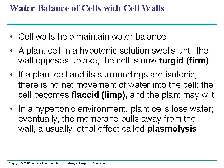 Water Balance of Cells with Cell Walls • Cell walls help maintain water balance