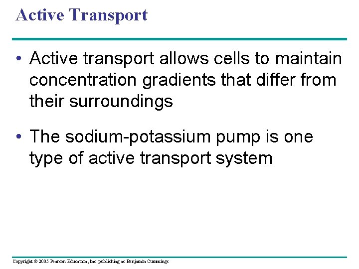 Active Transport • Active transport allows cells to maintain concentration gradients that differ from