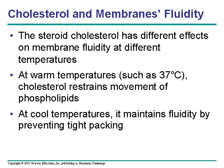 Cholesterol and Membranes’ Fluidity • The steroid cholesterol has different effects on membrane fluidity