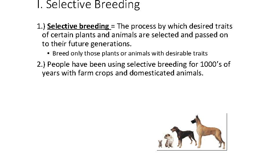 I. Selective Breeding 1. ) Selective breeding = The process by which desired traits