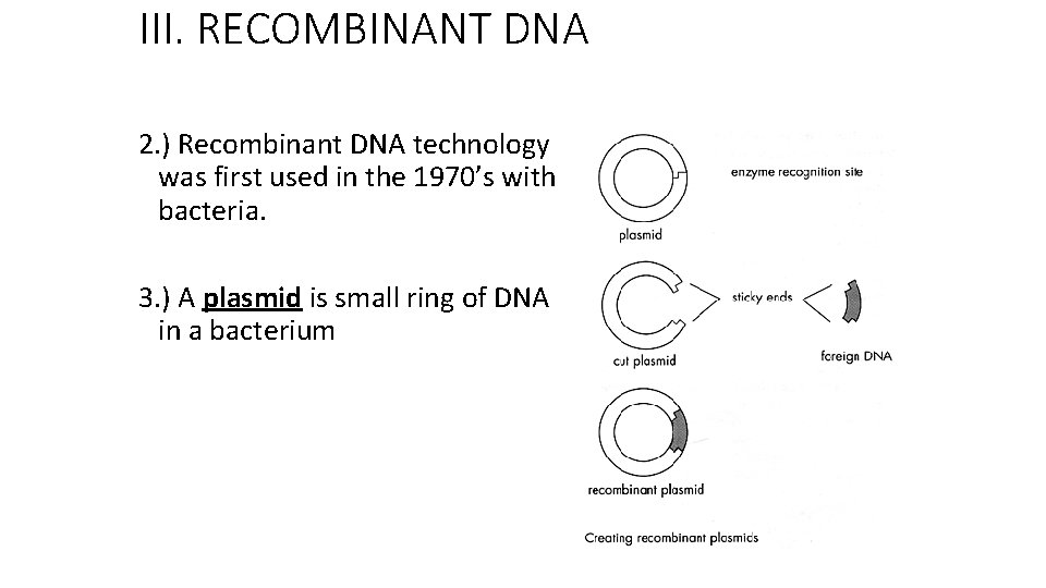 III. RECOMBINANT DNA 2. ) Recombinant DNA technology was first used in the 1970’s