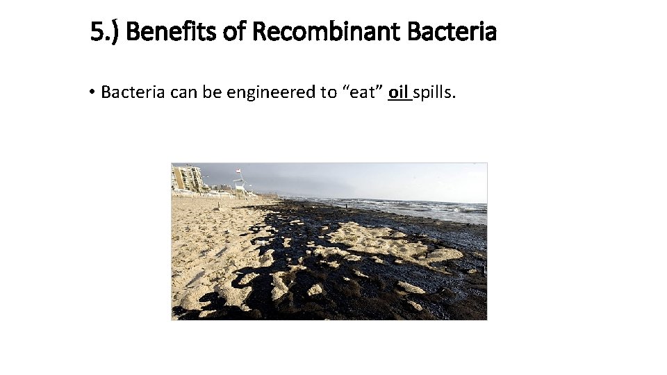 5. ) Benefits of Recombinant Bacteria • Bacteria can be engineered to “eat” oil