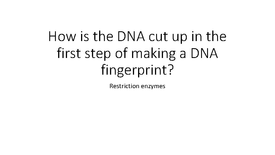 How is the DNA cut up in the first step of making a DNA