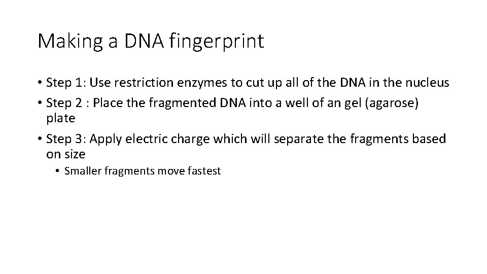 Making a DNA fingerprint • Step 1: Use restriction enzymes to cut up all