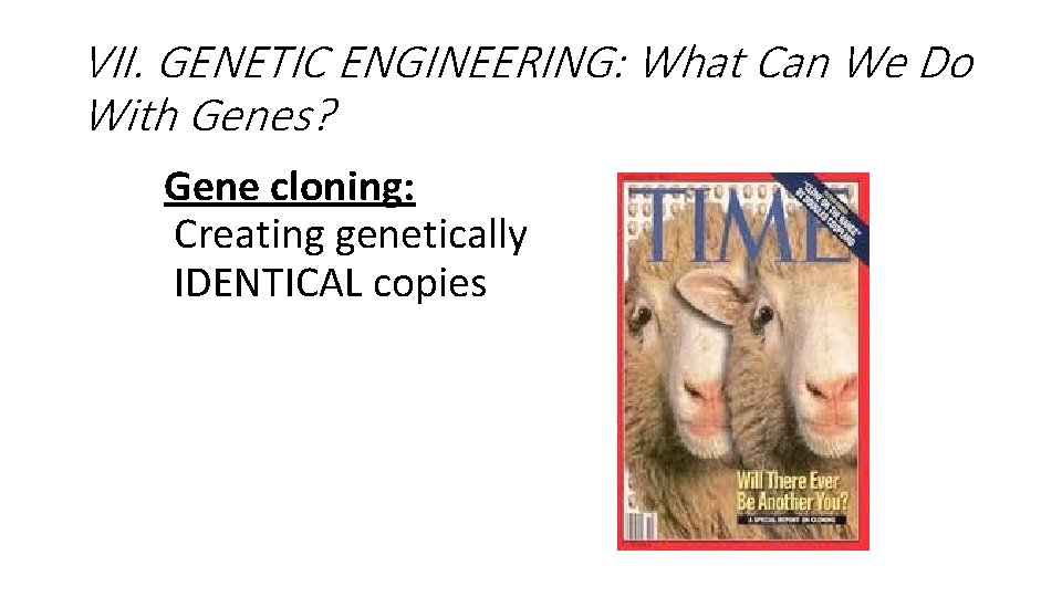 VII. GENETIC ENGINEERING: What Can We Do With Genes? Gene cloning: Creating genetically IDENTICAL