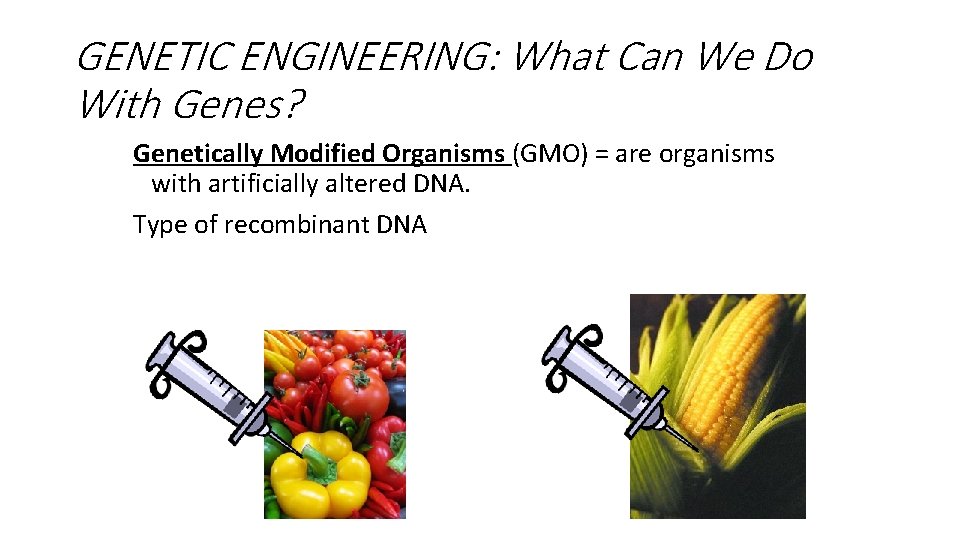 GENETIC ENGINEERING: What Can We Do With Genes? Genetically Modified Organisms (GMO) = are