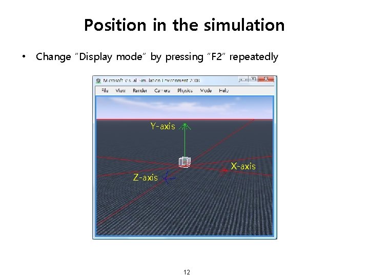 Position in the simulation • Change “Display mode” by pressing “F 2” repeatedly Y-axis