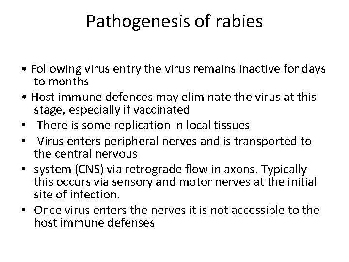 Pathogenesis of rabies • Following virus entry the virus remains inactive for days to