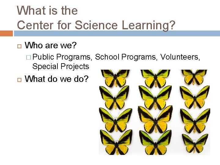 What is the Center for Science Learning? Who are we? � Public Programs, School