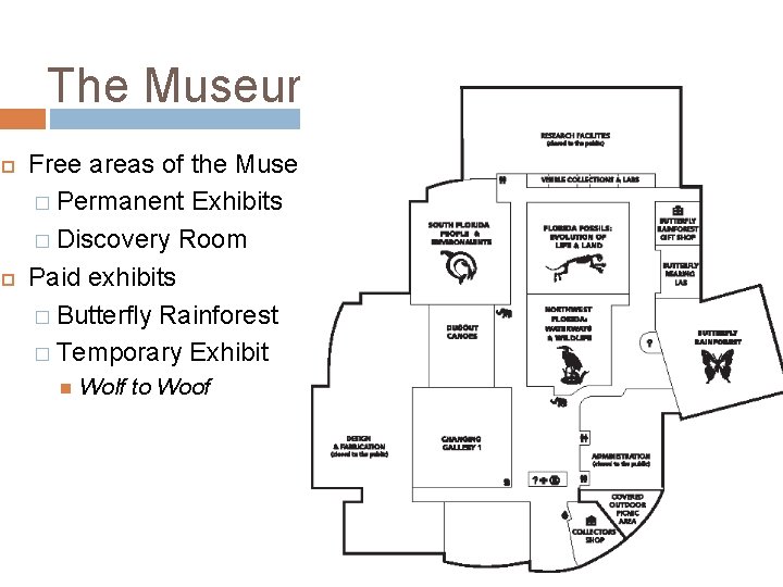 The Museum Free areas of the Museum � Permanent Exhibits � Discovery Room Paid