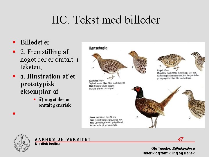 IIC. Tekst med billeder Billedet er 2. Fremstilling af noget der er omtalt i