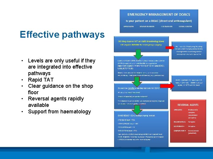 Effective pathways • Levels are only useful if they are integrated into effective pathways