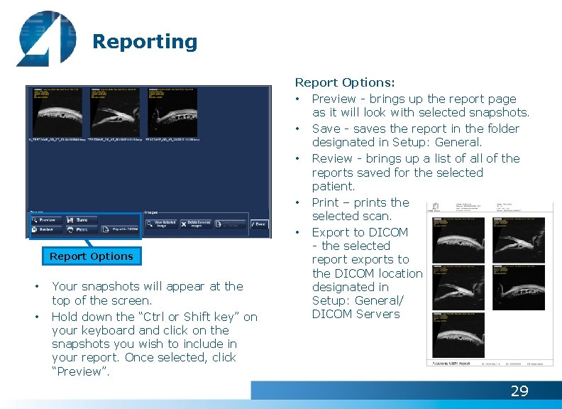 Reporting Report Options • • Your snapshots will appear at the top of the