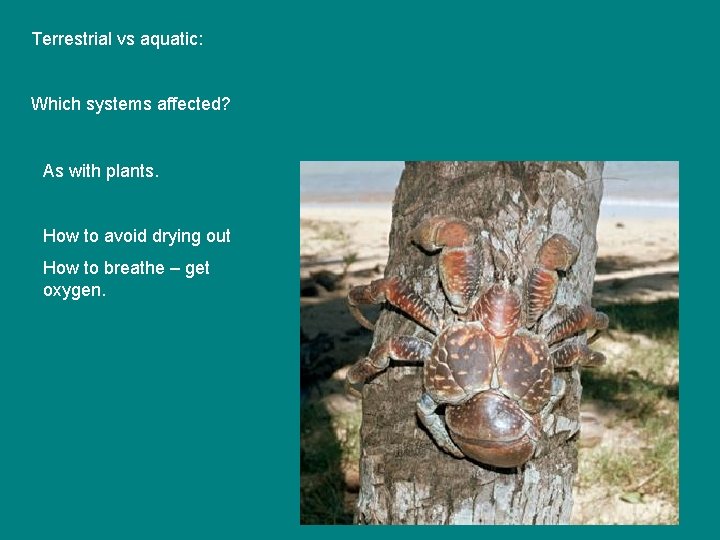 Terrestrial vs aquatic: Which systems affected? As with plants. How to avoid drying out