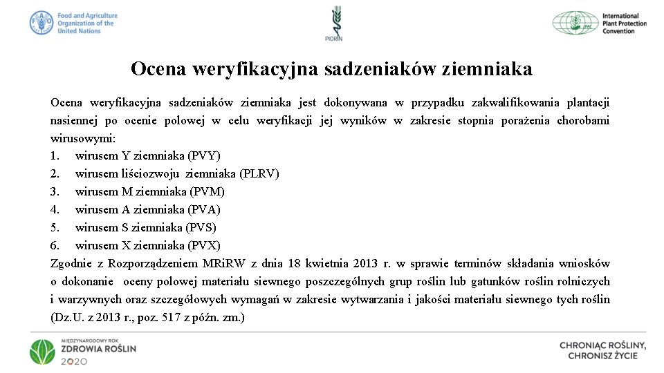 Ocena weryfikacyjna sadzeniaków ziemniaka jest dokonywana w przypadku zakwalifikowania plantacji nasiennej po ocenie polowej