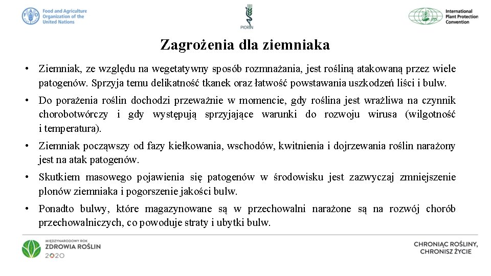 Zagrożenia dla ziemniaka • Ziemniak, ze względu na wegetatywny sposób rozmnażania, jest rośliną atakowaną