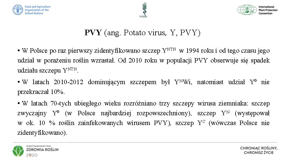 PVY (ang. Potato virus, Y, PVY) • W Polsce po raz pierwszy zidentyfikowano szczep