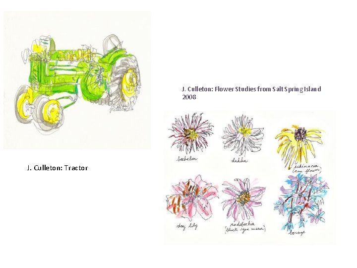 J. Culleton: Flower Studies from Salt Spring Island 2008 J. Culleton: Tractor 