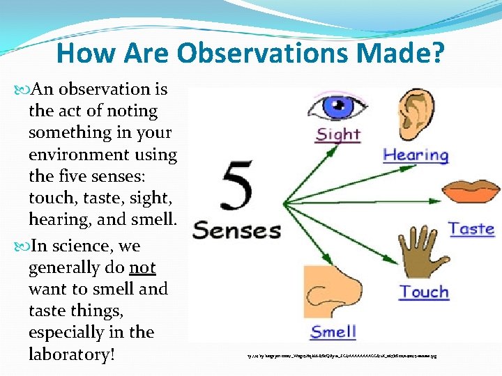 How Are Observations Made? An observation is the act of noting something in your