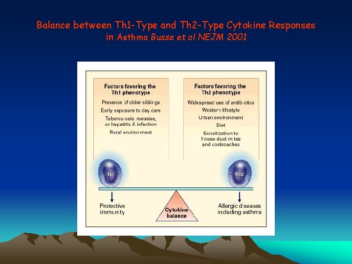 Balance between Th 1 -Type and Th 2 -Type Cytokine Responses in Asthma Busse
