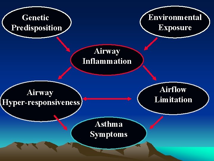 Environmental Exposure Genetic Predisposition Airway Inflammation Airflow Limitation Airway Hyper-responsiveness Asthma Symptoms 