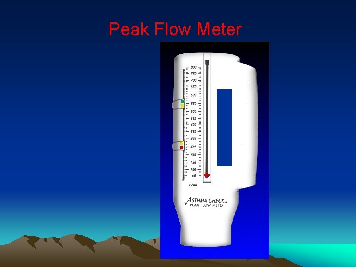 Peak Flow Meter 