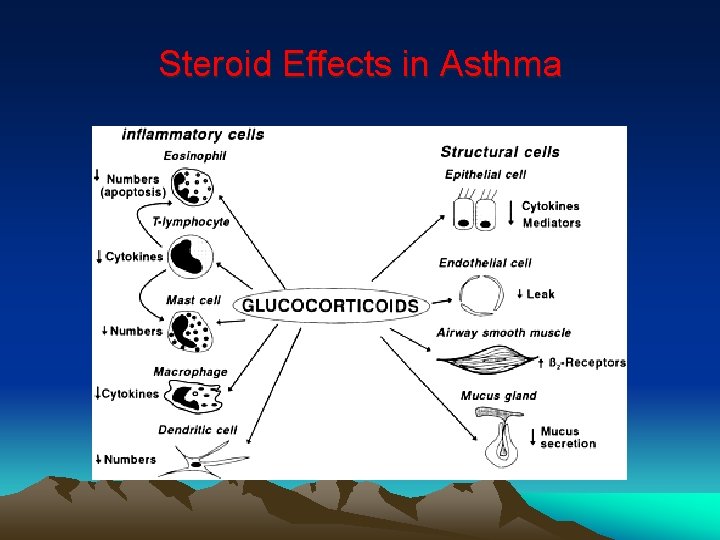 An overview of Bronchial Asthma by Prof Nadeem