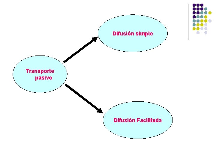 Difusión simple Transporte pasivo Difusión Facilitada 