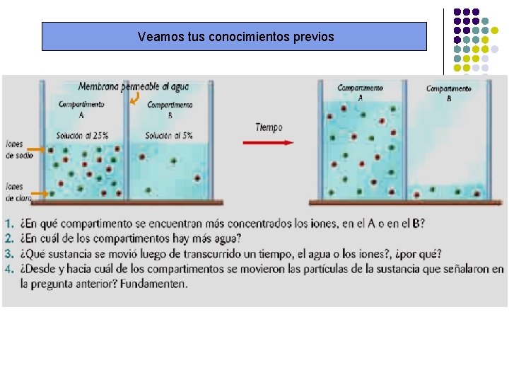 Veamos tus conocimientos previos 