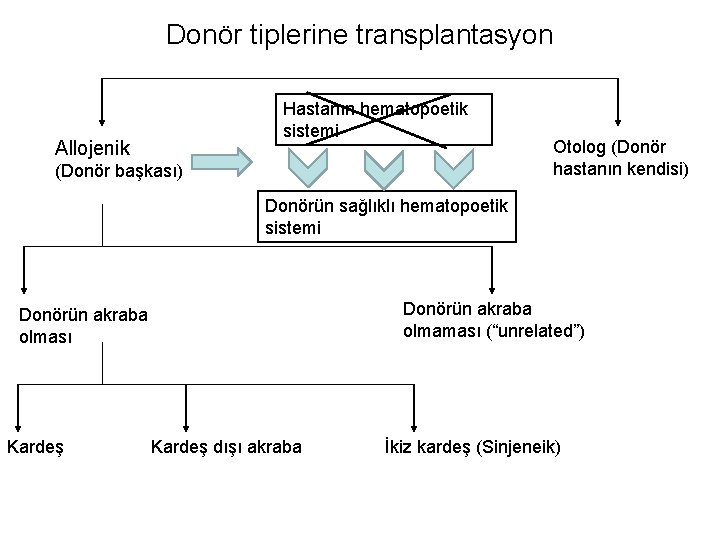 Donör tiplerine transplantasyon Hastanın hematopoetik sistemi Allojenik (Donör başkası) Otolog (Donör hastanın kendisi) Donörün
