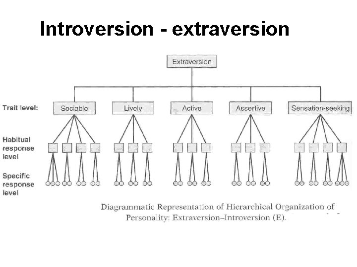Introversion - extraversion 