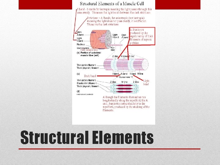 Structural Elements 