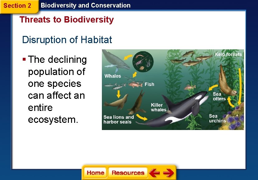 Section 2 Biodiversity and Conservation Threats to Biodiversity Disruption of Habitat § The declining