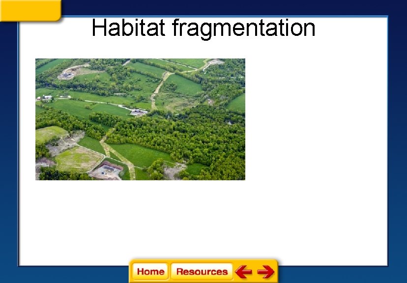 Habitat fragmentation 