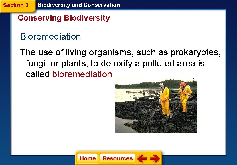 Section 3 Biodiversity and Conservation Conserving Biodiversity Bioremediation The use of living organisms, such