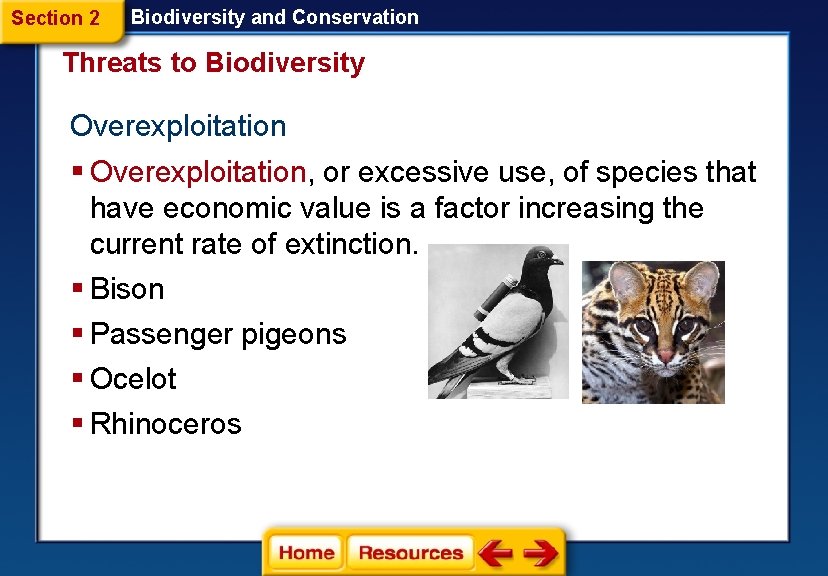 Section 2 Biodiversity and Conservation Threats to Biodiversity Overexploitation § Overexploitation, or excessive use,