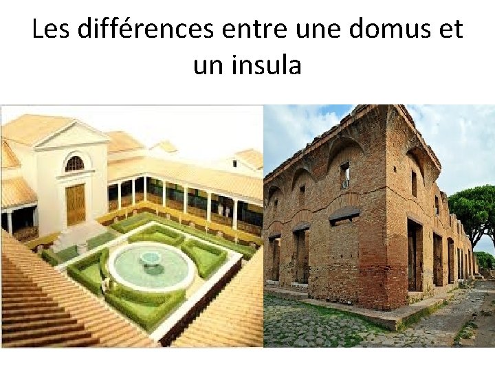 Les différences entre une domus et un insula 