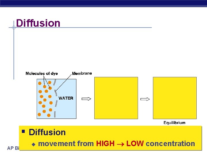 Diffusion § Diffusion u AP Biology movement from HIGH LOW concentration 