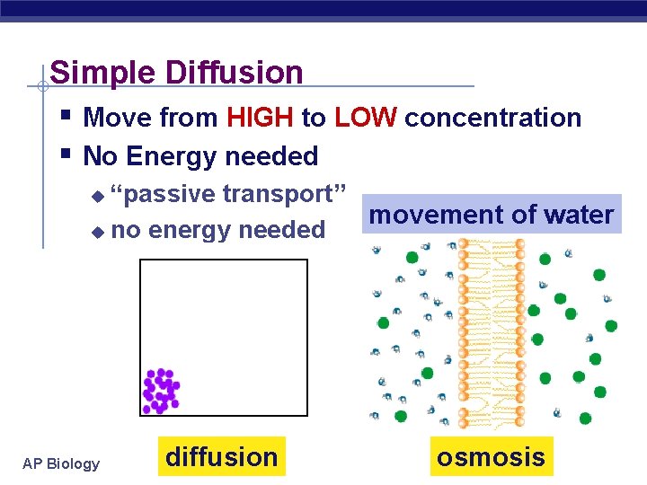 Simple Diffusion § Move from HIGH to LOW concentration § No Energy needed “passive