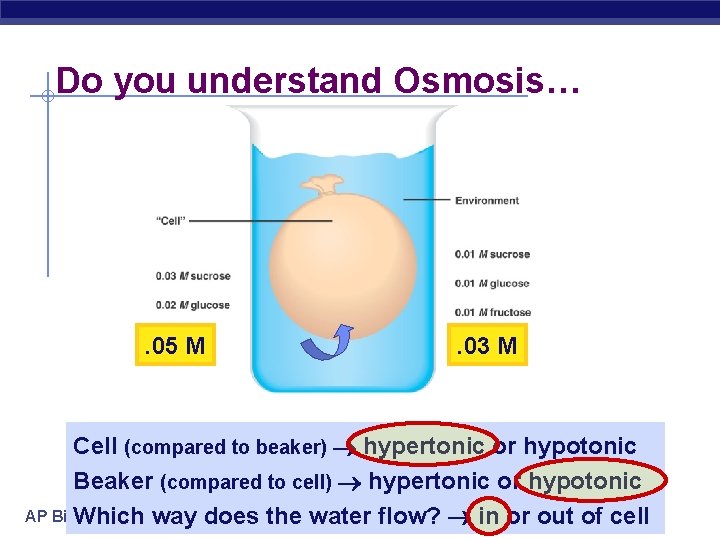 Do you understand Osmosis… . 05 M . 03 M Cell (compared to beaker)