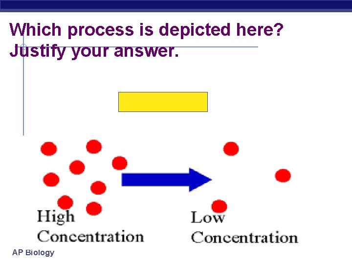 Which process is depicted here? Justify your answer. AP Biology 